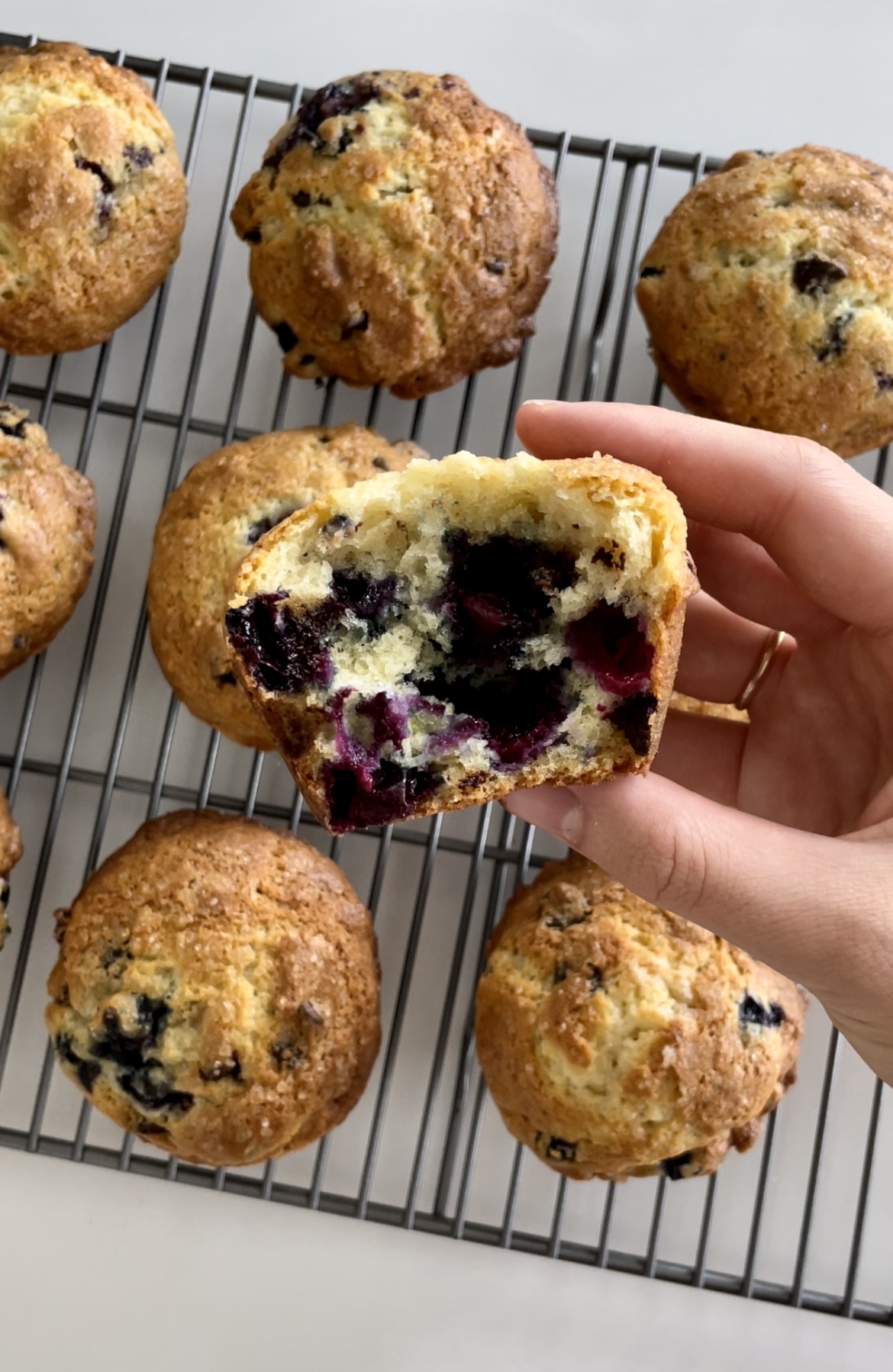 Blueberry Chocolate Chip Muffins - Dang That's Sweet
