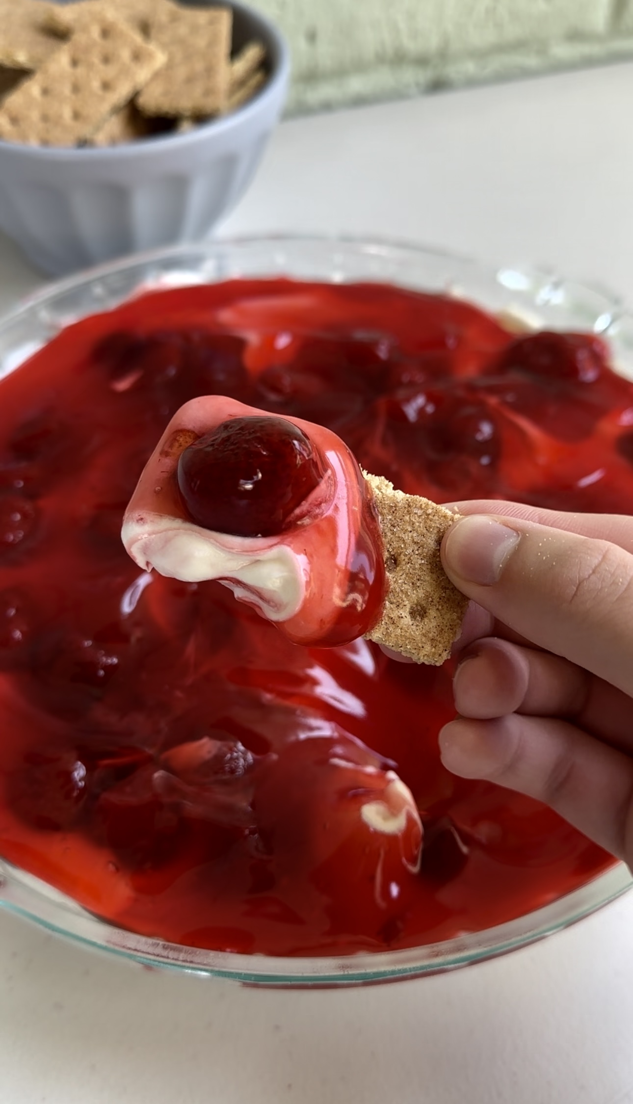 Strawberry Cheesecake Dip [dangthatssweet.com]