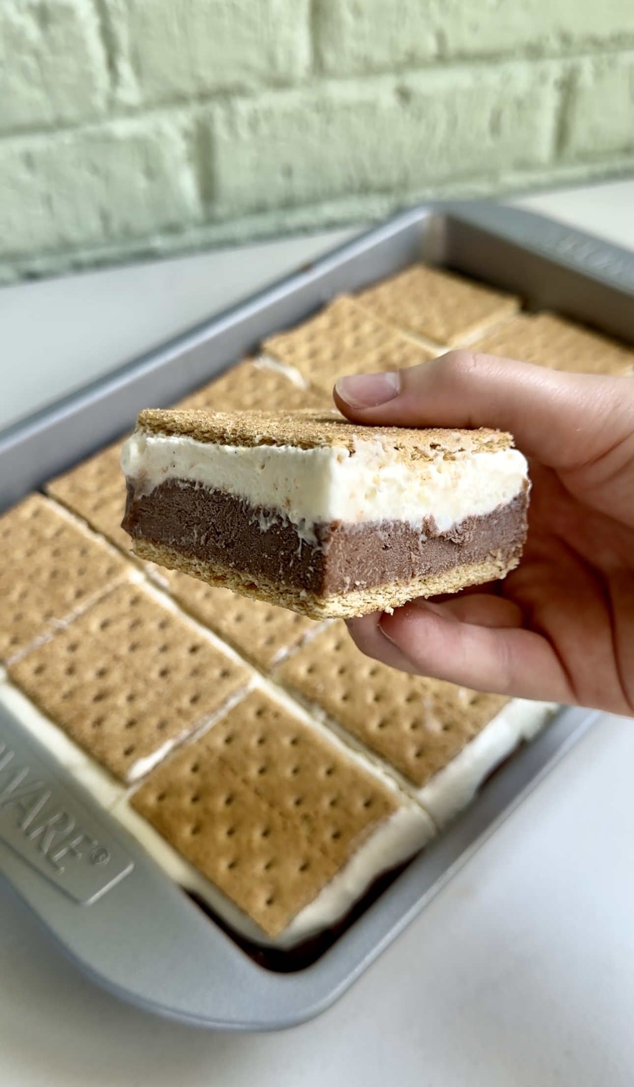 Frozen S’mores - Dang That's Sweet