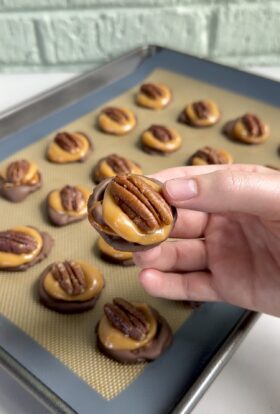 pretzel turtles