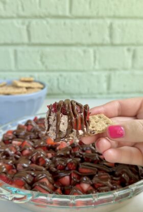 chocolate covered strawberry dip