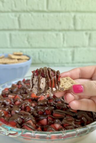 chocolate covered strawberry dip