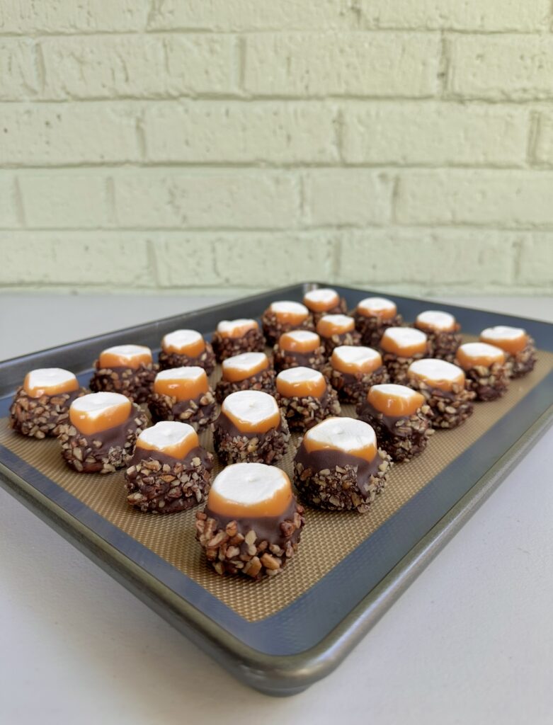 turtle dipped marshmallows
