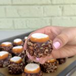 turtle dipped marshmallows
