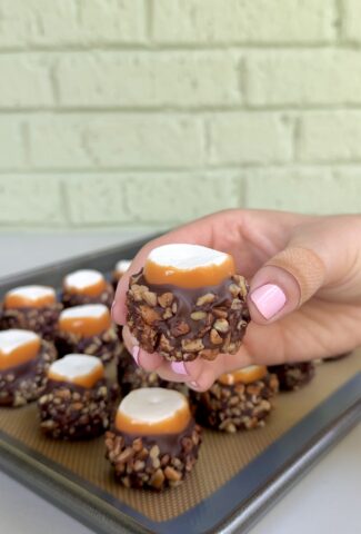 turtle dipped marshmallows